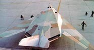 Camouflaged F-117