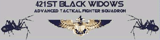 421st ''Black Widows''
