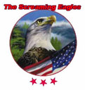 VF-51 ''Screaming Eagles''